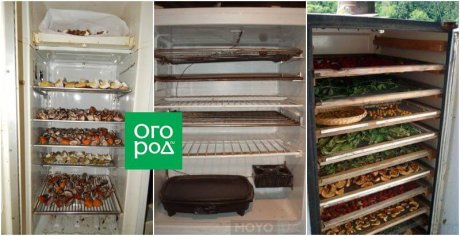 Вторая жизнь старого холодильника: практичные идеи для переделки